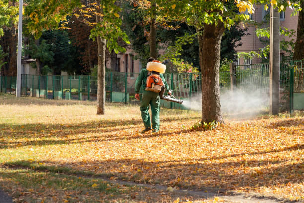 Best Rodent Control Near Me  in Peshtigo, WI