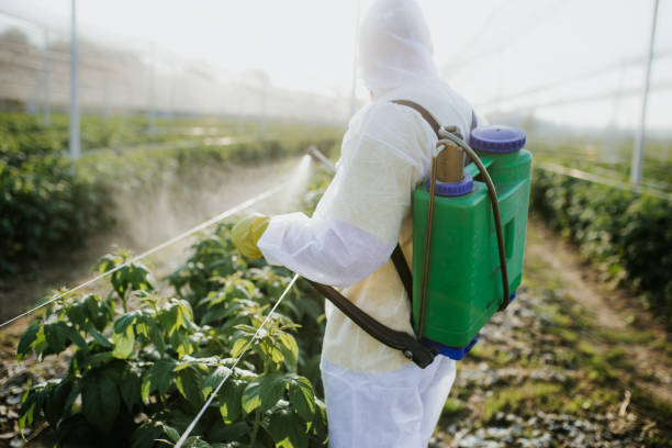 Best Pest Prevention Services  in Peshtigo, WI